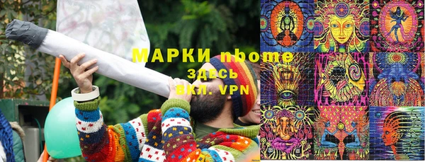стаф Майский