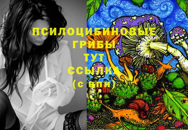 твердый Магадан
