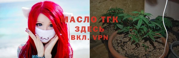 ПСИЛОЦИБИНОВЫЕ ГРИБЫ Магас