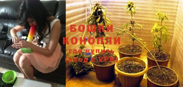 твердый Магадан