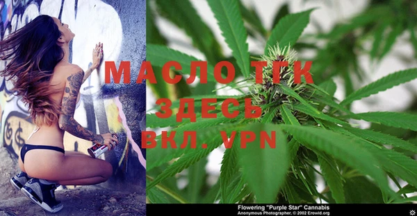 стаф Майский