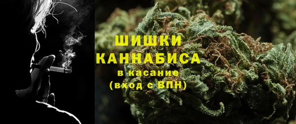 ПСИЛОЦИБИНОВЫЕ ГРИБЫ Магас