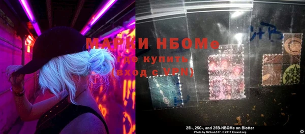 стаф Майский