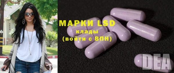 ПСИЛОЦИБИНОВЫЕ ГРИБЫ Магас