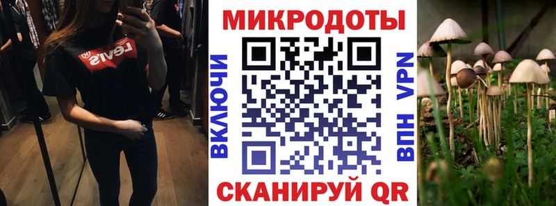 где можно купить дарк нет телеграм Псилоцибиновые грибы Psilocybine cubensis Углич
